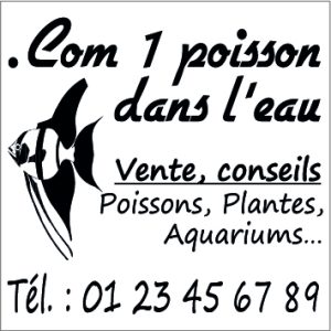 Gomme Cachet Trodat Printy Carré 4923